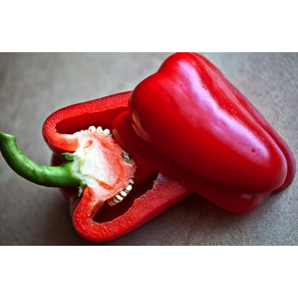 Graines de Piment Poivron doux Yolo Wonder