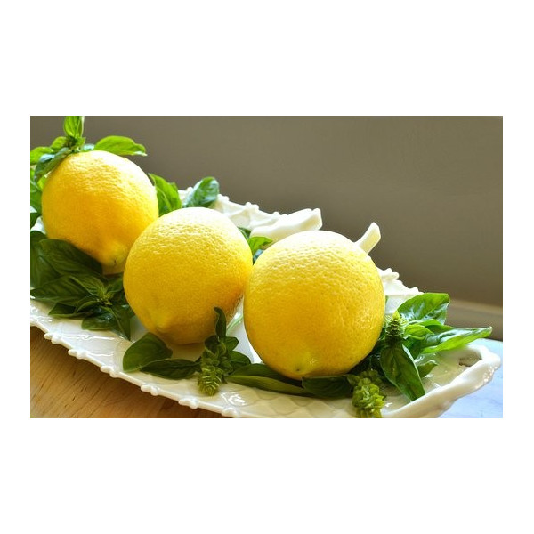Graines de Basilic Citron