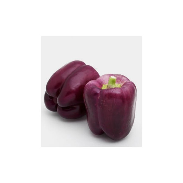 Graines de poivron violet purple bell