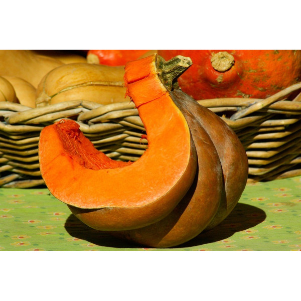 Graines de Courges Musquées d'hiver de Provence