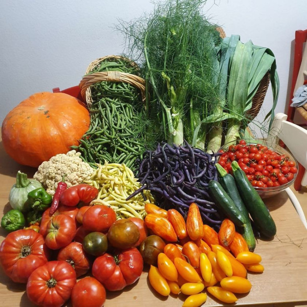 Coffret graines de 6 légumes anciens