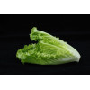 Laitue Romaine blonde maraîchère 