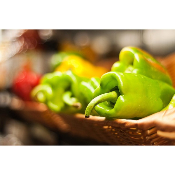 Piment Poivron petit marseillais 