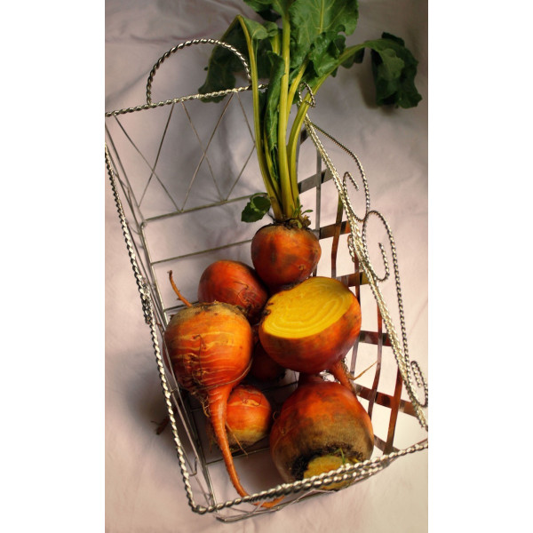 Betterave burpee's golden 