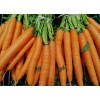 Carotte Nantaise améliorée bio 