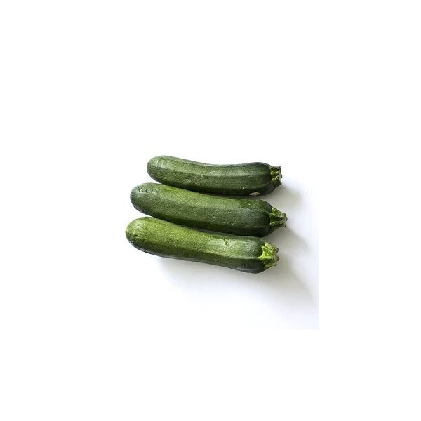 Courgette verte des maraîchers bio 