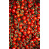 Tomate cerise Red Cherry bio 