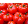 Tomate Marmande VR bio 