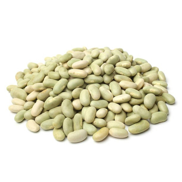 Haricot nain à écosser flageolet chevrier vert Flagrano 