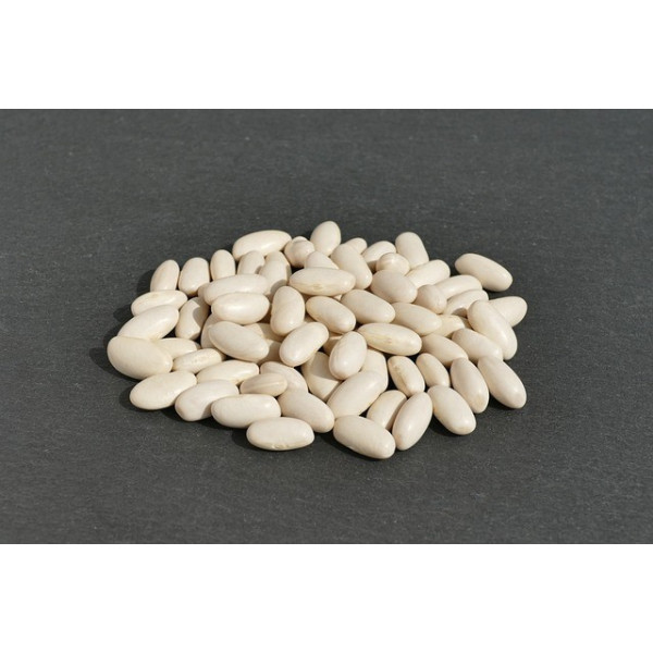 Haricot nain à écosser Cocagne (type coco paimpolais) 
