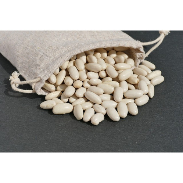 Haricot nain à écosser Pactol (type coco paimpolais) 