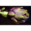 Artichaut violet de Provence 