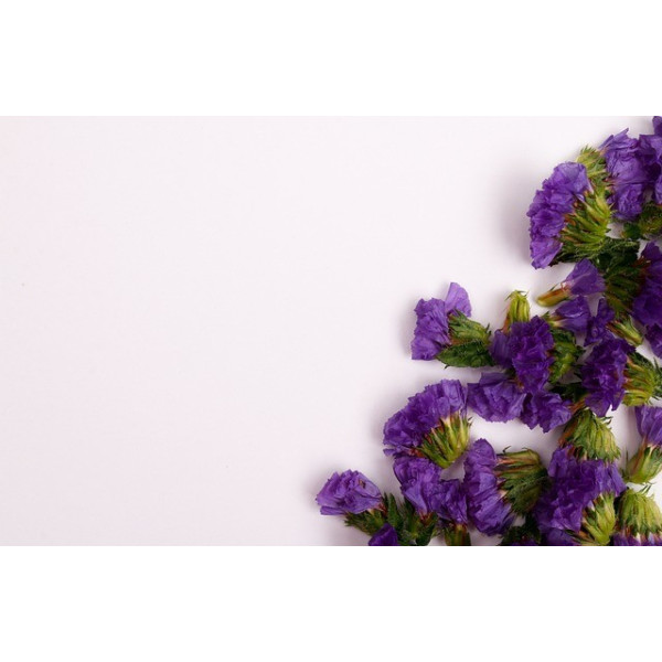 Statice sinuata varié 