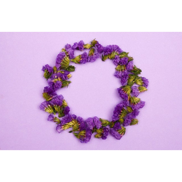 Statice sinuata varié 