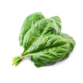 Graines d'Epinard Monstrueux de Viroflay