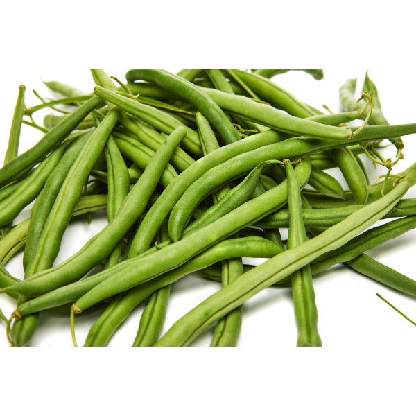 Graines d'Haricots nain Mangetout contender