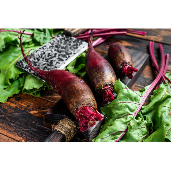 Betterave Crapaudine 