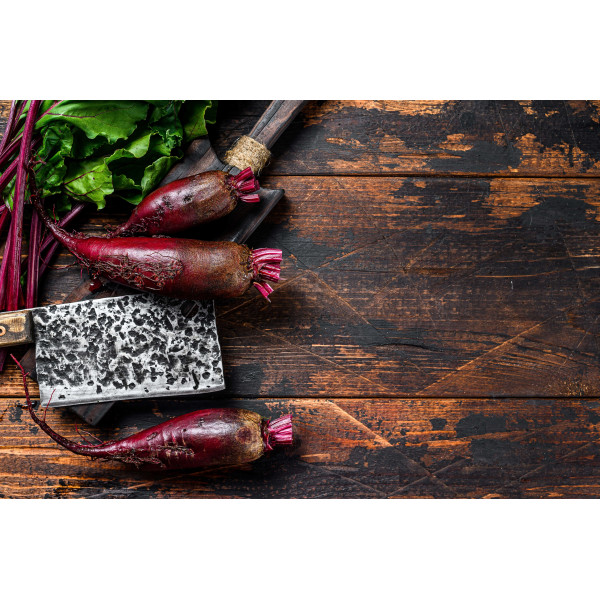 Betterave Crapaudine 