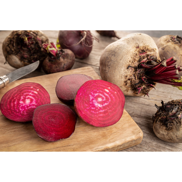 Betterave Noire plate d'Egypte 