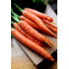 Carotte ½ longue Nantaise améliorée 