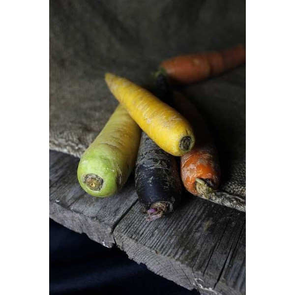 Carotte Hyb. Rainbow (mélange de couleurs) 