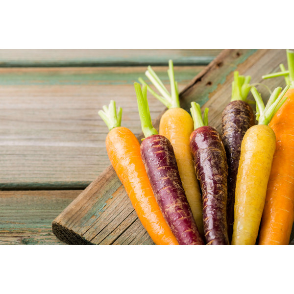 Carotte Hyb. Rainbow (mélange de couleurs) 