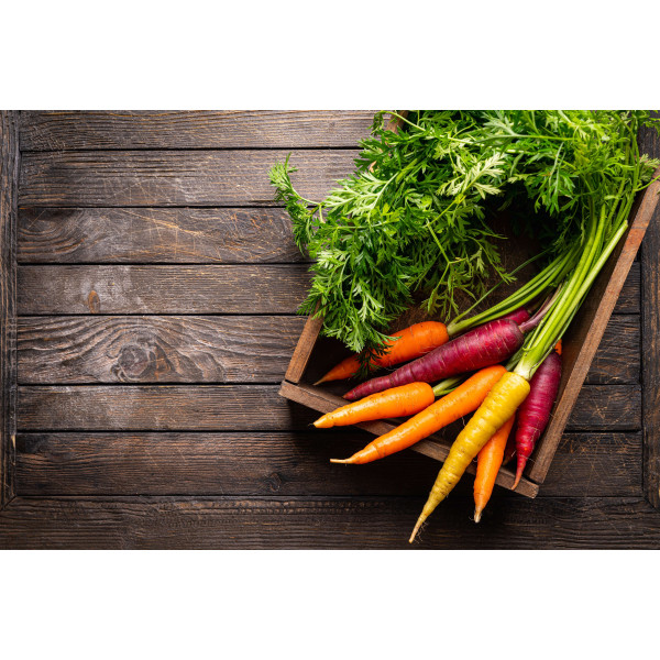 Carotte Hyb. Rainbow (mélange de couleurs) 