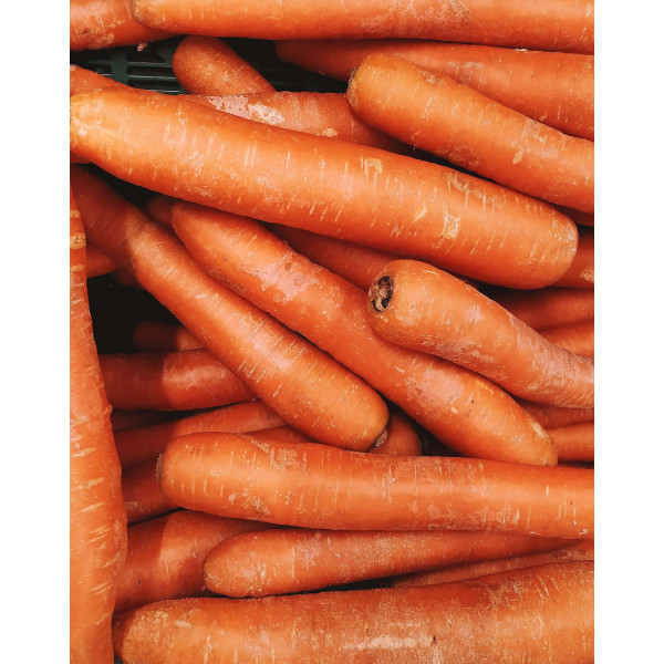 Carotte Touchon 