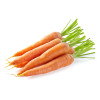 Carotte Touchon 