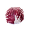 Chicorée sauvage Rouge de Vérone 