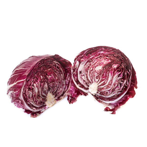Chicorée sauvage Rouge de Vérone 