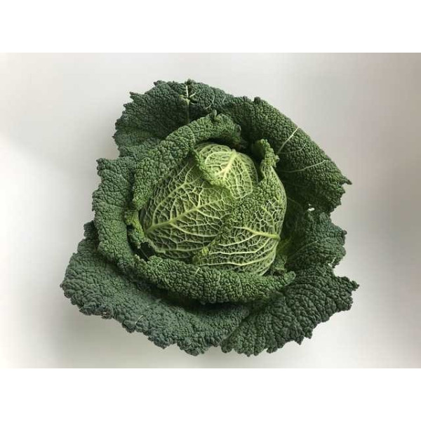 Chou Milan Hyb. Capriccio  