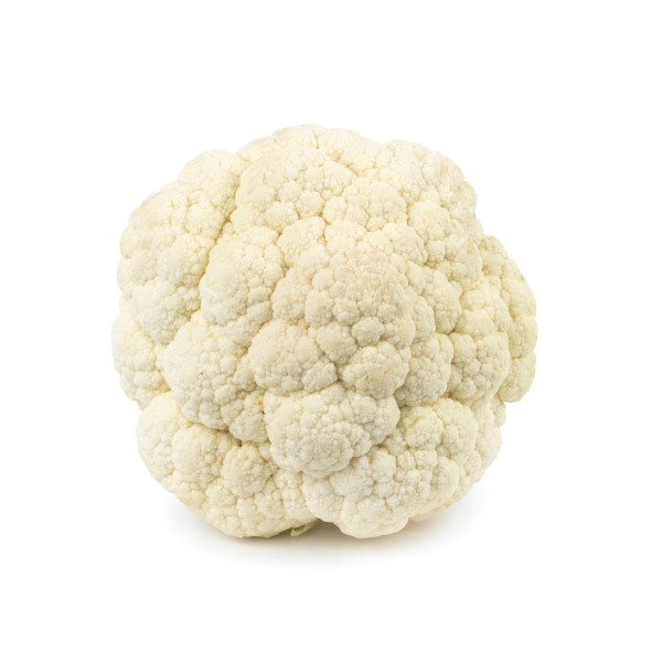 Chou Fleur hâtif d'Erfurt boule de neige         