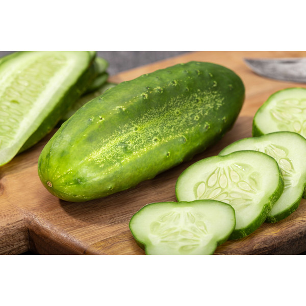 Concombre le généreux 