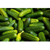 Cornichon fin de Meaux 