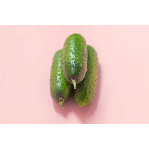 Cornichon Hokus 