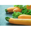Courgette Hyb. Lingodor 