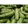 Courgette Hyb. Profusion 