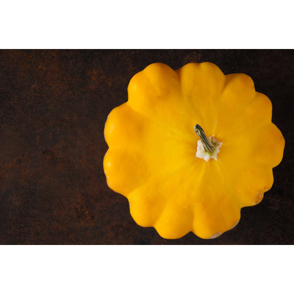 Courgette pâtisson orange 