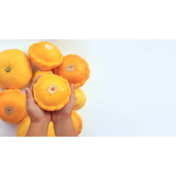 Courgette pâtisson orange 