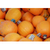 Courge d'Halloween Jack O'Lantern  