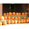 Courge d'Halloween Jack O'Lantern  