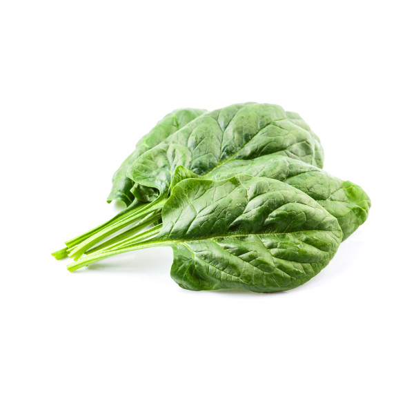 Epinard Matador foncé 