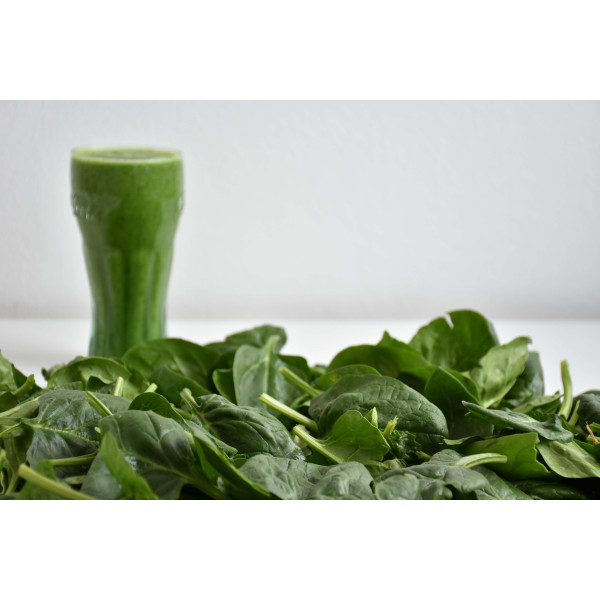 Epinard Matador foncé 