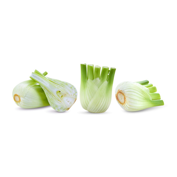 Fenouil doux de Florence 