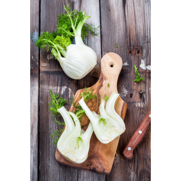 Fenouil doux de Florence 