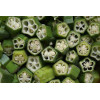 Gombo okra 