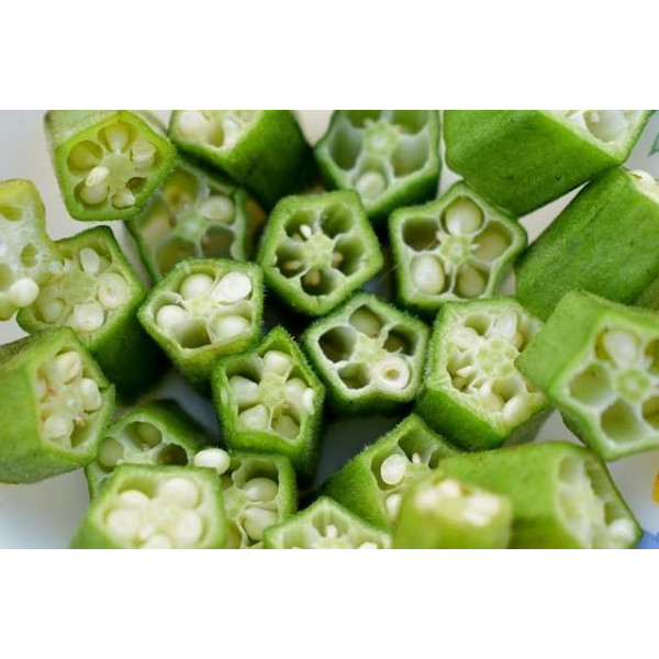 Gombo okra 