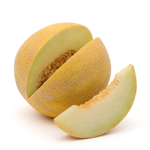 Melon hybride galia 