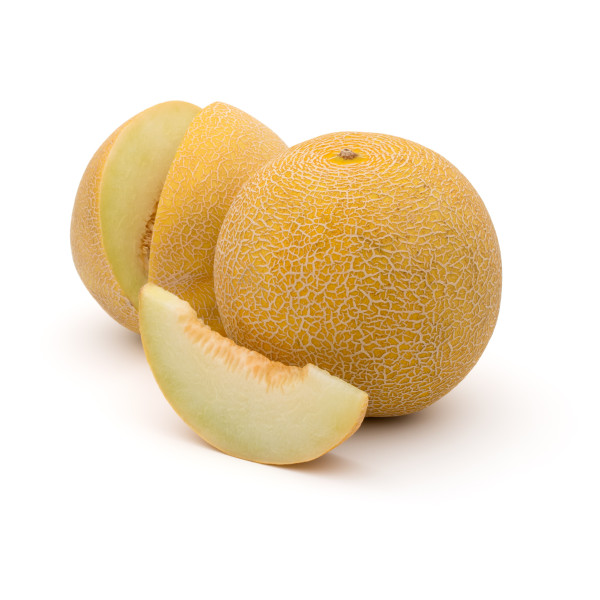 Melon hybride galia 